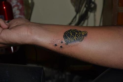 Small Tortoise With Footprints Tattoo On Forearm