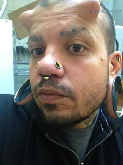 Stretched Nose And Septril Piercing With Gold Stud