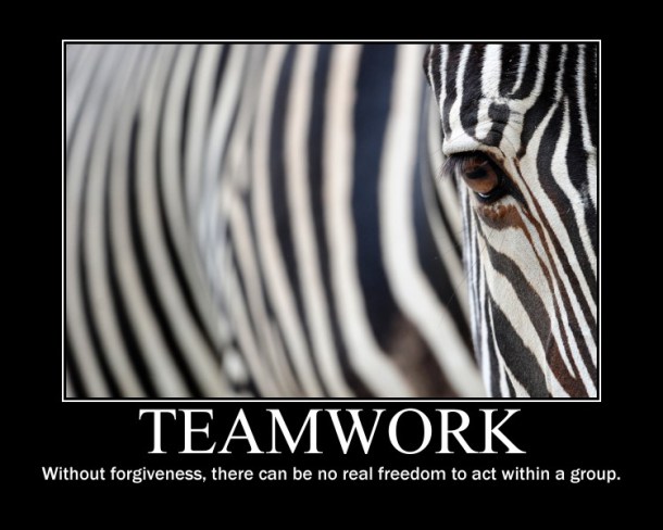 teamwork without forgiveness there can be no real freedom to act within a group - Team Quotes