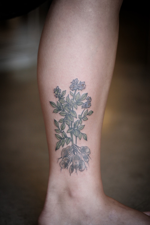 Tiny Potato Plant Tattoo On Ankle By Louis Sachar
