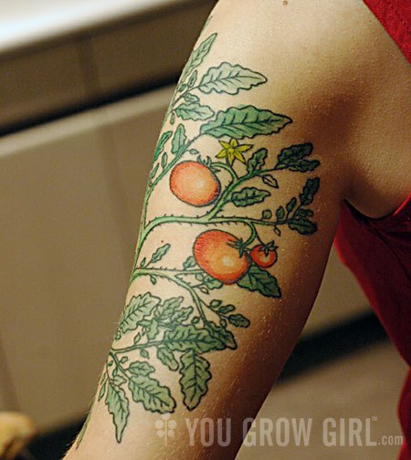 Tomatoes Plant Tattoo On Left Half Sleeve