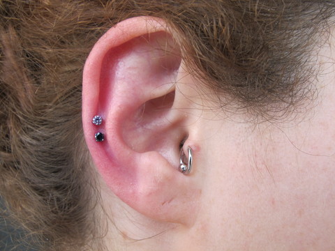 Tragus And Rim Piercing Picture