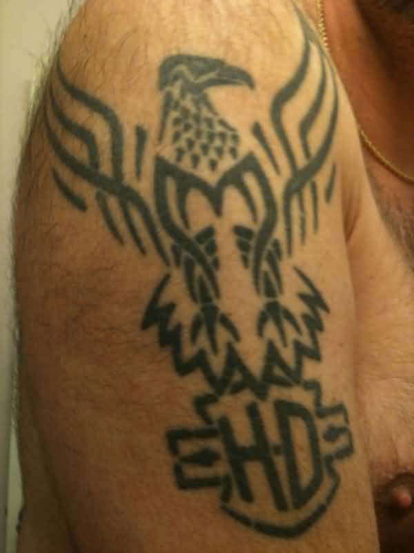 Tribal Eagle And Harley Logo Tattoo On Right Half Sleeve