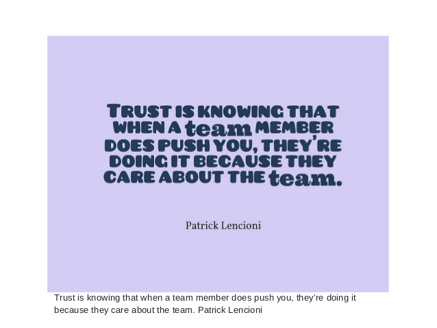 Trust is knowing that when a team member does push you, they're doing it because they care about the team. - Patrick Lencioni