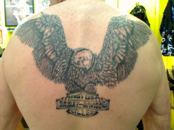 Upper Back Eagle Holding Harley Bike Logo Tattoo