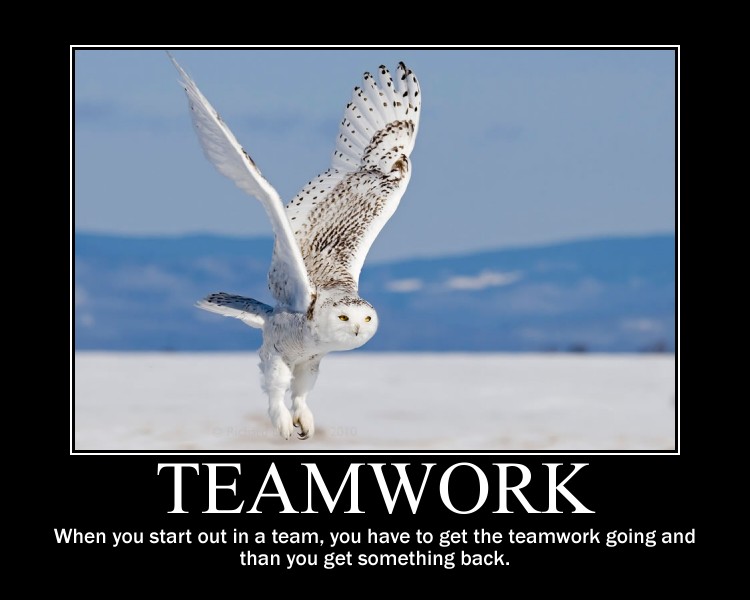 When you start out in a team, you have to get the teamwork going and then you get something back. - Michael Schumacher