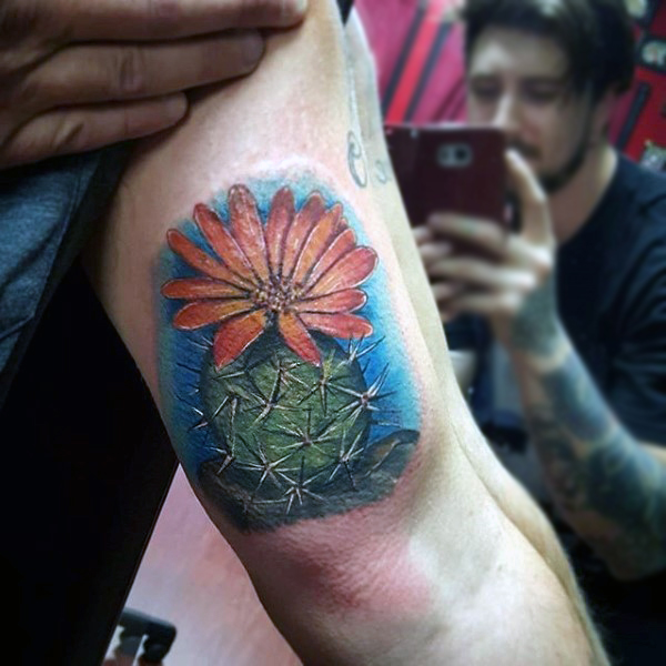 Wonderful 3D Cactus Plant Tattoo On Biceps For Men