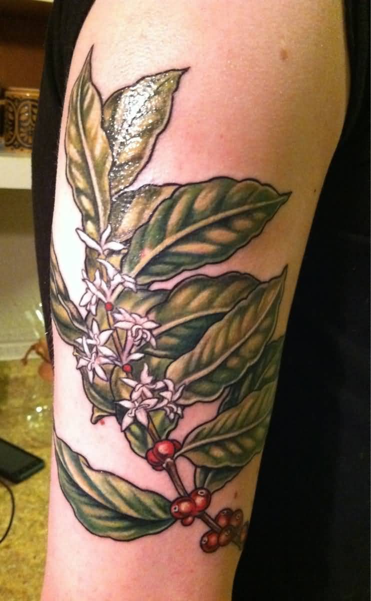 Wonderful Coffee Plant Tattoo On Half Sleeve