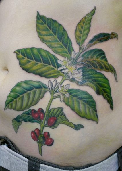 Wonderful Coffee Plant Tattoo