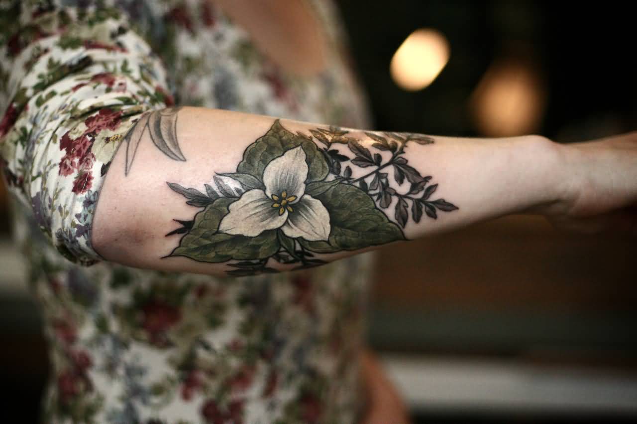 Wonderful Flower Plant Tattoo On Arm Sleeve By Alice Carrier