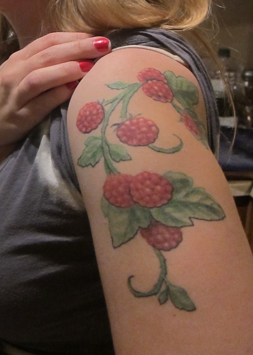 Wonderful Raspberry Plant Tattoo On Left Half Sleeve For Girls