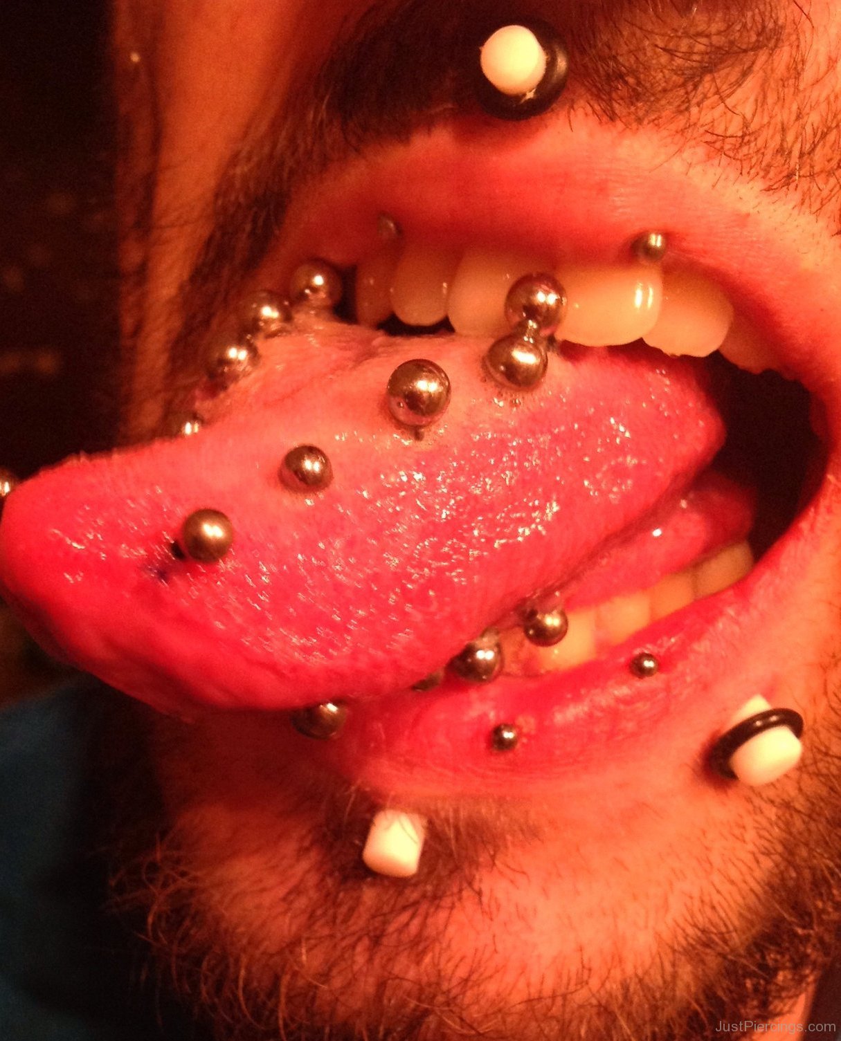 Medusa, Labret And Multiple Tongue Piercing Picture
