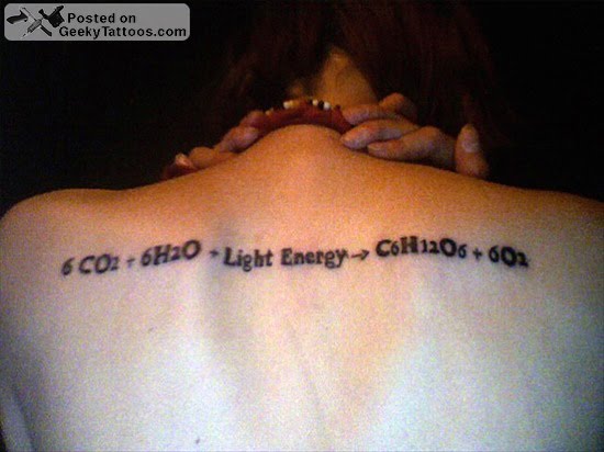 Photosynthesis Equation Tattoo On Upper Back