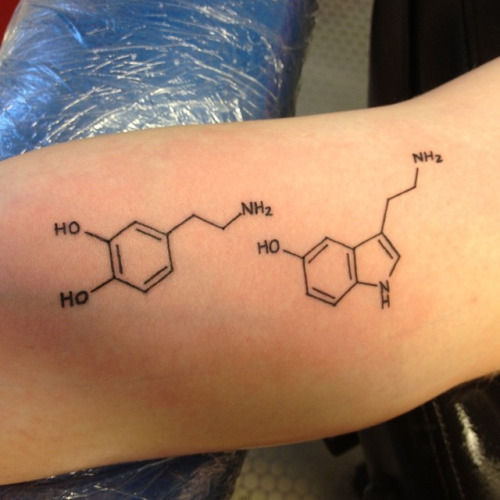 Science Chemical Equation Tattoo