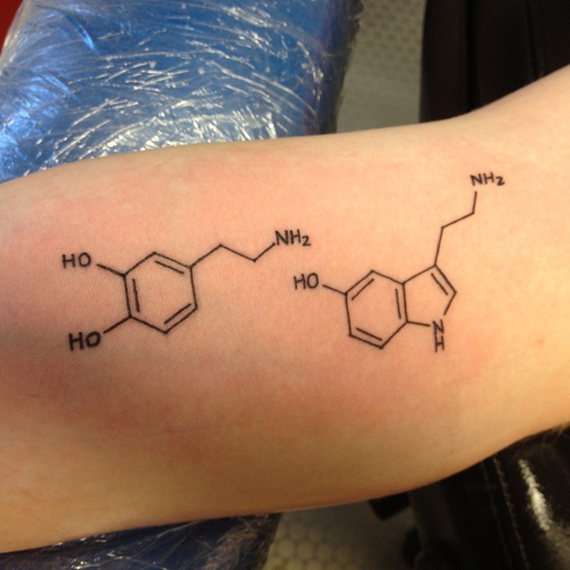 Serotonin And Dopamine Chemistry Equation Tattoo On Arm Sleeve.