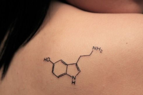 Small Chemistry  Serotonin Molecule Equation Tattoo