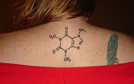 Small Molecule Chemistry Equation With Bird Tattoo On Upper Back