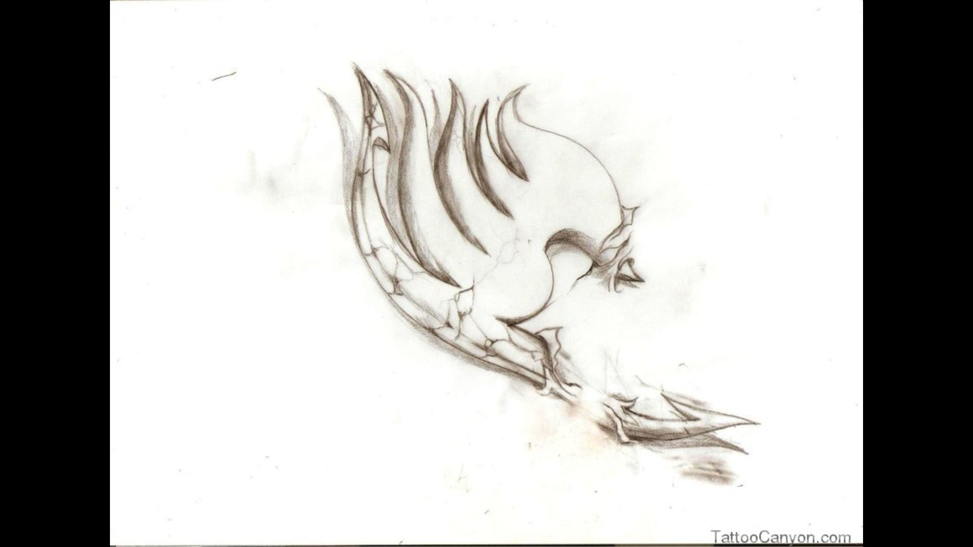 White Fairy Tail Symbol Tattoo Design