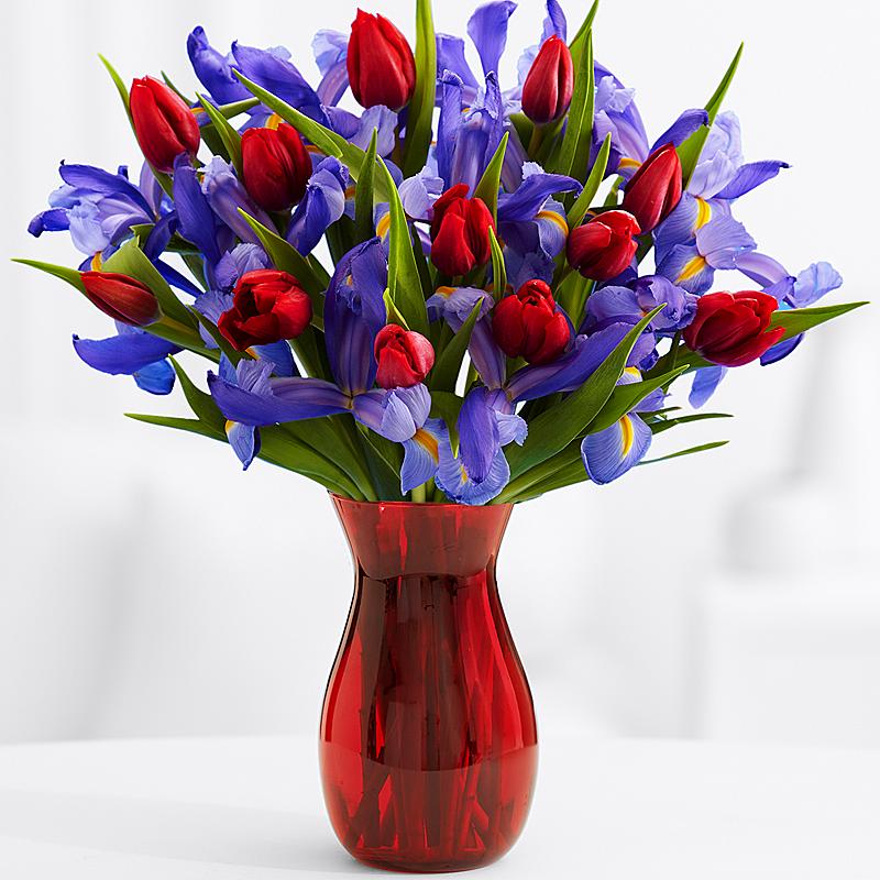 Adorable Red And Purple Flowers In Pot Picture