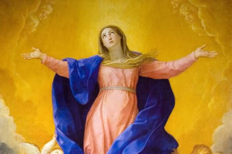 Assumption Of  Mary Wishes