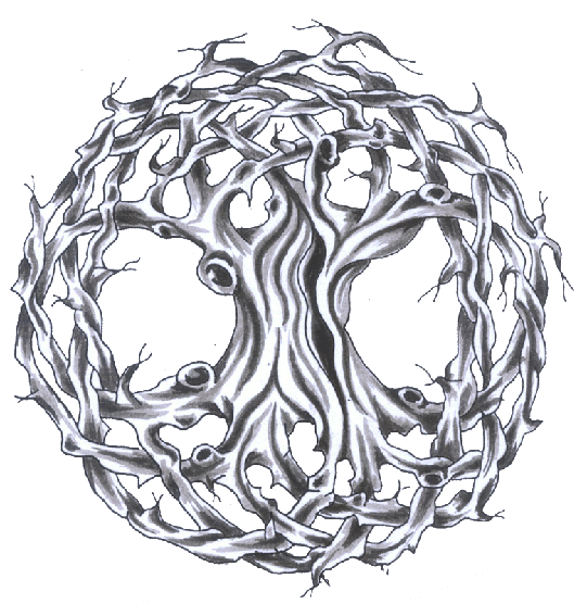 Awesome Celtic Tree Of Life Tattoo Design