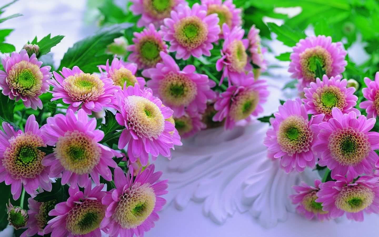 Bunches Of Pink Flowers Picture