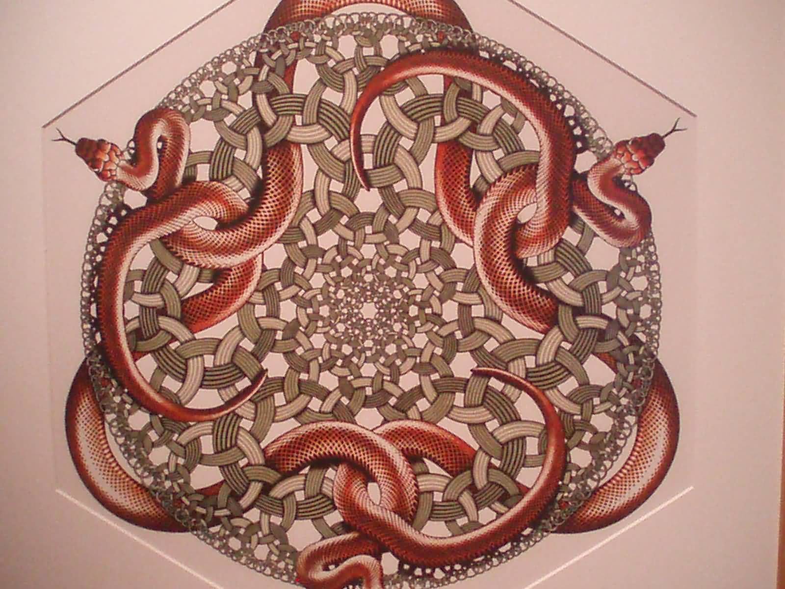 Celtic Escher Snake Tattoo Design
