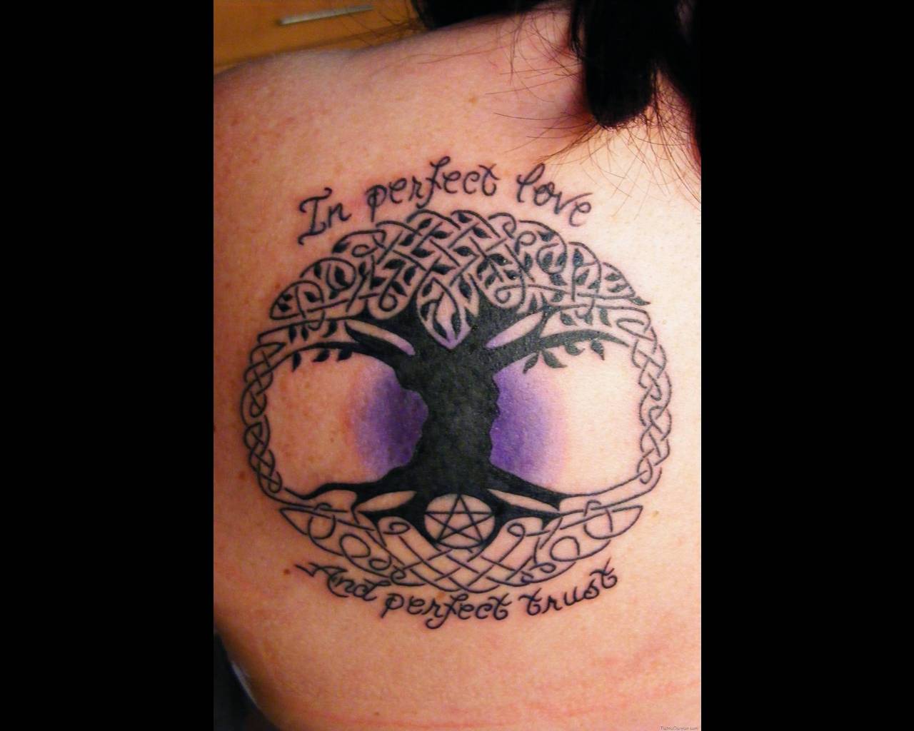 Celtic Pagan Tree Tattoo On Left Back Shoulder
