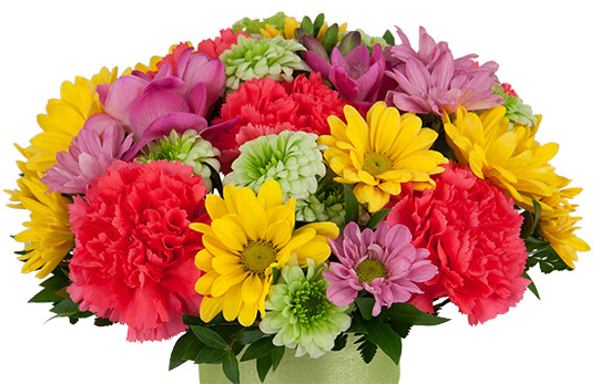 Colorful Flowers Image