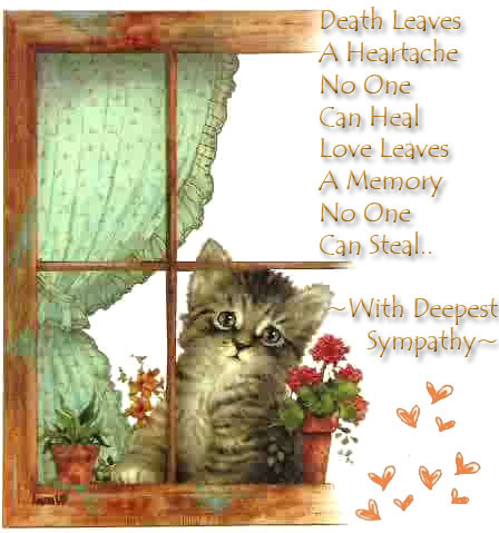 Death Leaves A Heartache No One Can Heal Love Leaves A Memory No One Can Steal With Deepest Sympathy Sad Kitten Picture