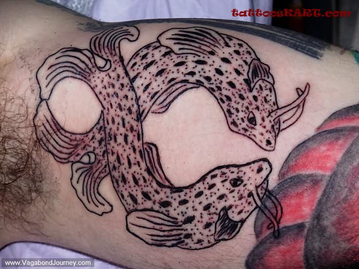 Double Tibetan Fish Tattoo On Biceps