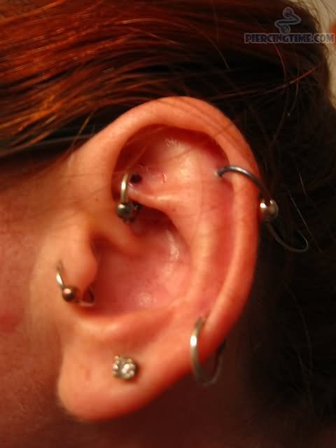 Ear Project Piercing With Silver Bead Rings