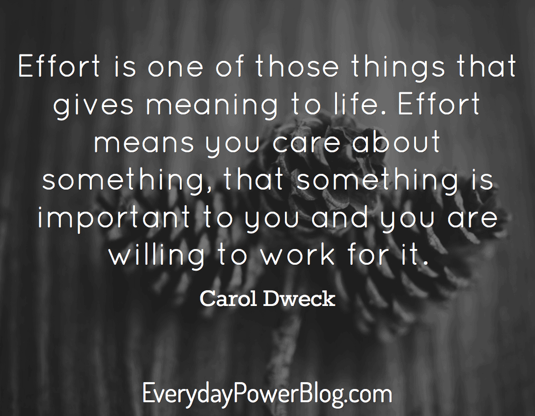 Effort is one of those things that gives meaning to life. Effort means you care about something, that something is important to you and you are willing to work for it. - Carol Dweck