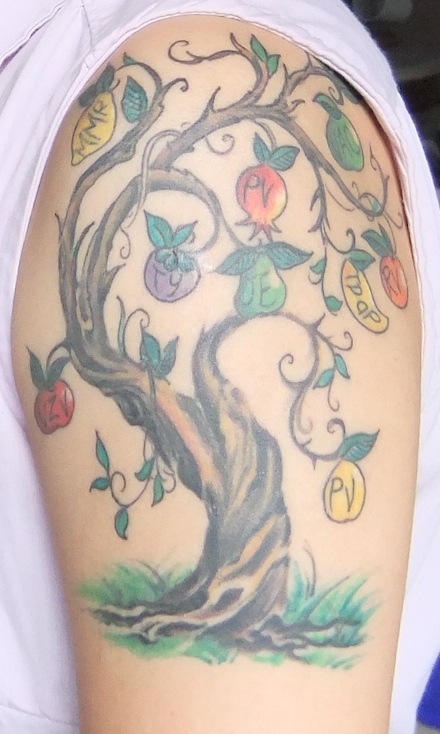 Fruits Tree Of Life Tattoo On Left Half Sleeve