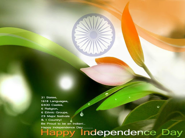 Happy Independence Day Indian Infographic Picture