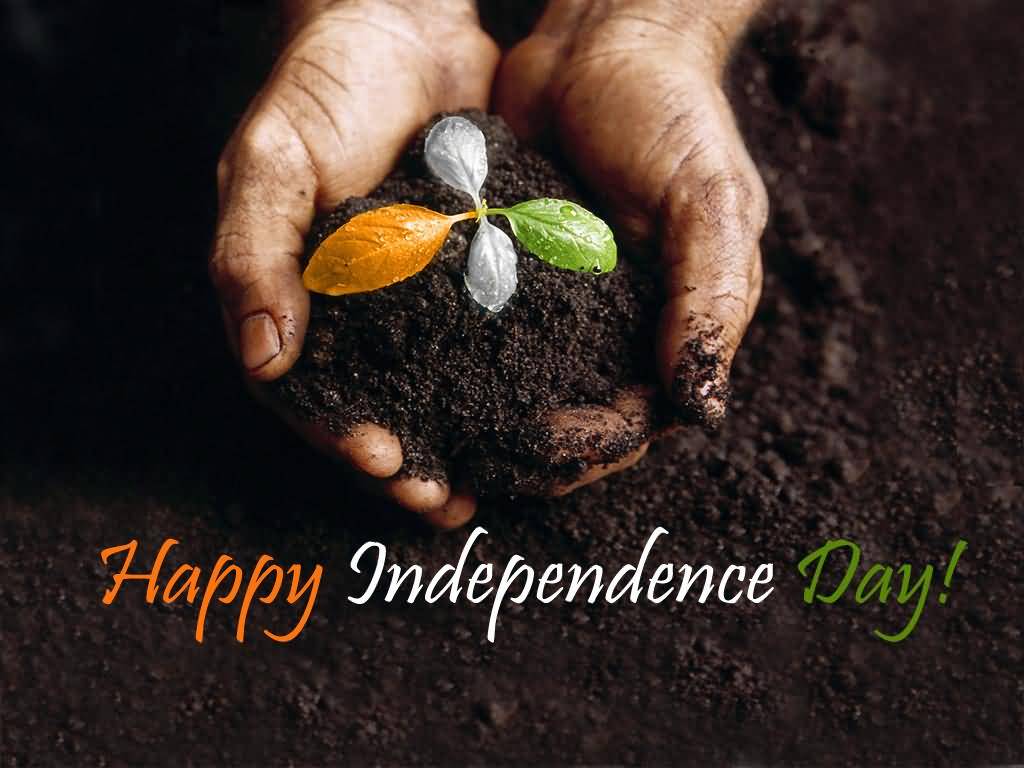 Happy Independence Day Planting Tree Picture