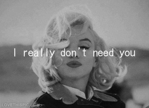 I Really Don't Need You