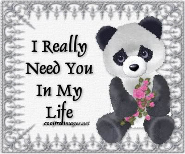 I Really Need You In My Life Sad Panda With Flowers Picture