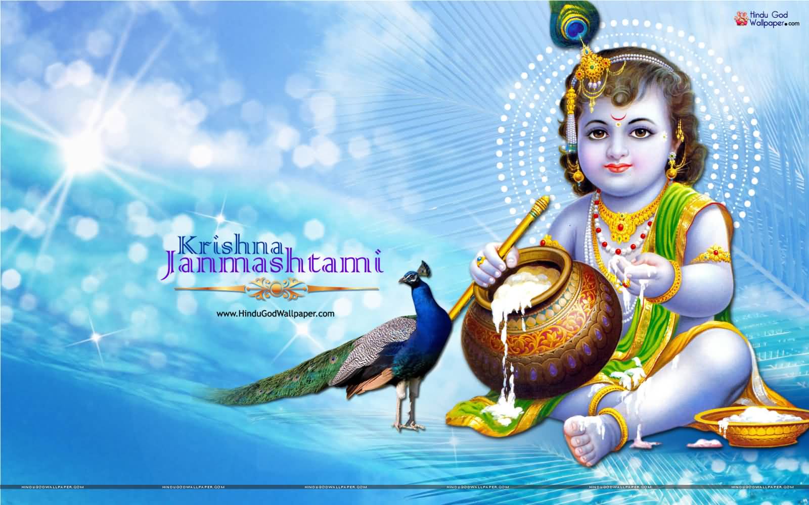 Krishna Janmashtami Greetings Bal Krishna Eating Butter Wallpaper