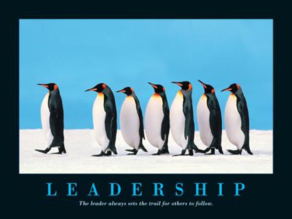 Leadership – The leader always sets the trail for others to follow