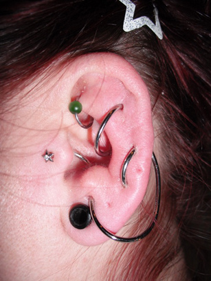 Left Ear Lobe And Ear Project Piercing Picture