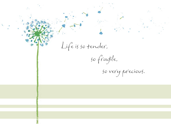 Life Is So Tender So Fragile So Very Precious.