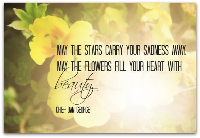 May The Stars Carry Your Sadness Away. May The Flowers Fill Your Heart With Beauty.
