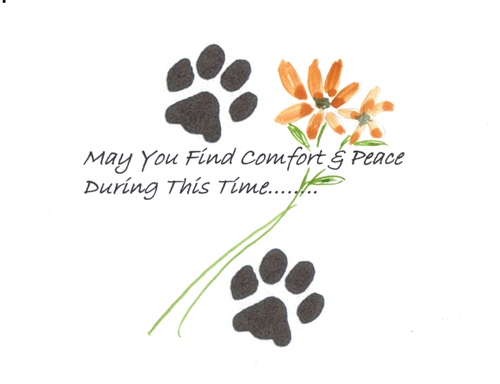 May You Find Comfort & Peace During This Time