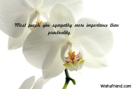 Most People Give Sympathy More Importance Than Practicality