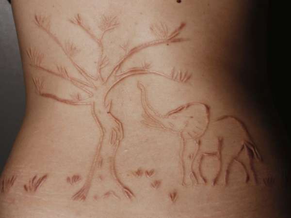 Nice Elephant And Leafless Tree Scarification Tattoo On Back