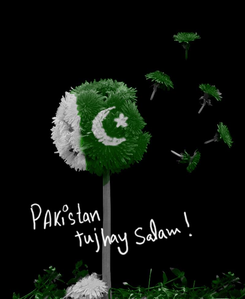 Pakistan Tujhay Salam Dandelion Leafs Happy Independence Day