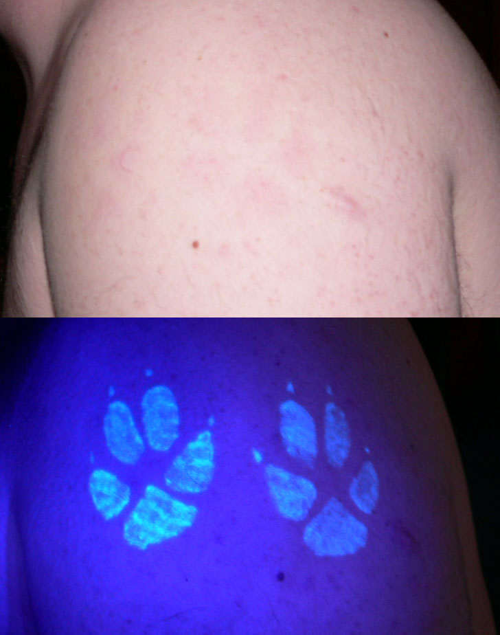 Paw Prints Under Daylight And Blacklight UV Tattoo