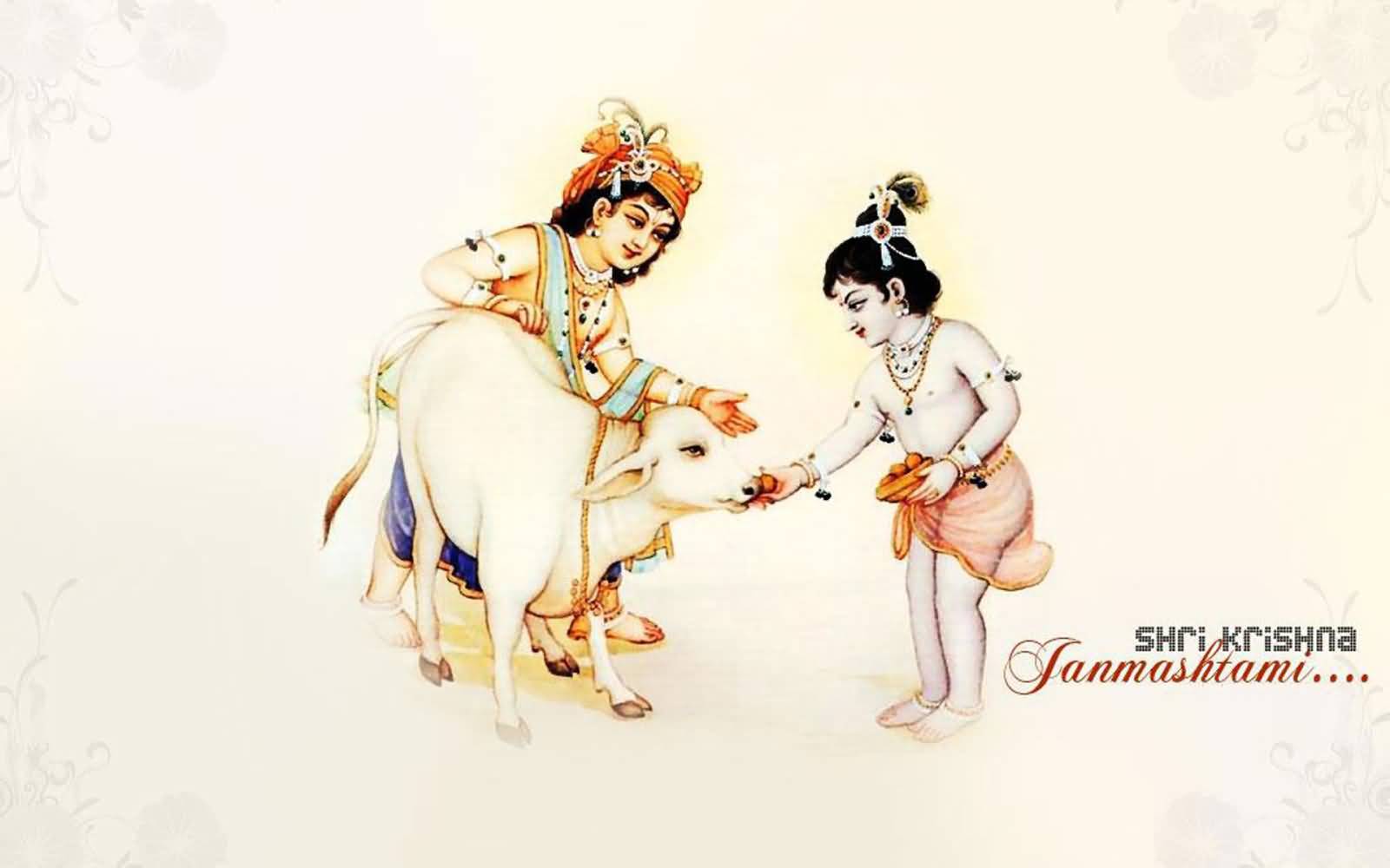 Shri Krishna Janmashtami Krishna And Balram Feeding Cow Picture