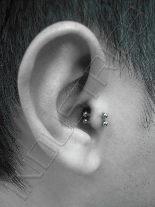 Silver Barbells Double Tragus Piercing Picture